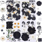 115Pcs Black Dried Pressed Flowers by Unknown