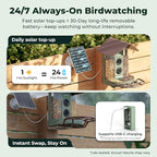 Kiwibit Smart Bird Feeder with Camera Solar Powered, No Subscription - Image 3