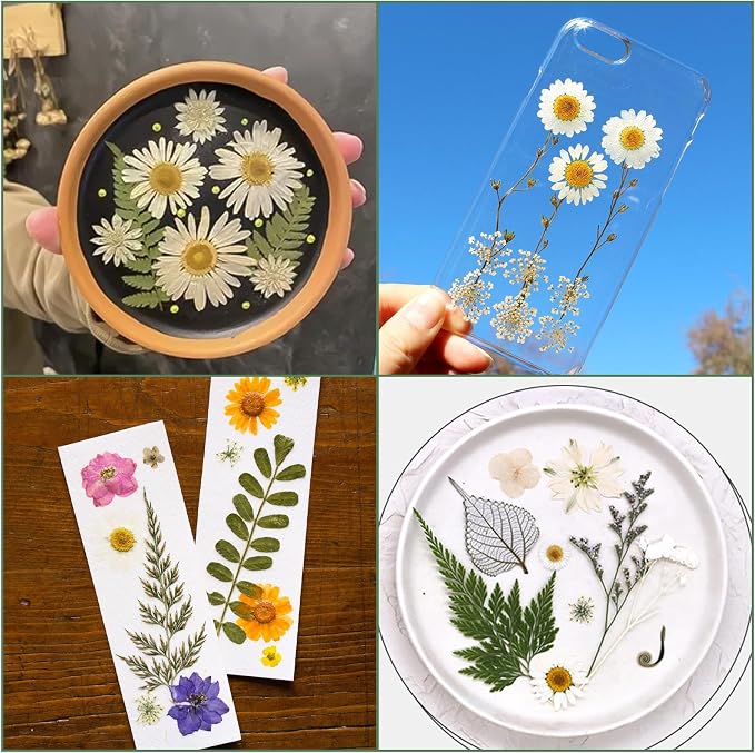 188 Pcs Dried Pressed Flowers for Resin Crafts, Real Natural Pressed Flowers - Image 7