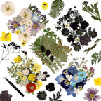 110Pcs Dried Flowers for Crafts, Pressed Flowers for Resin Molds by Wellcometowyegey
