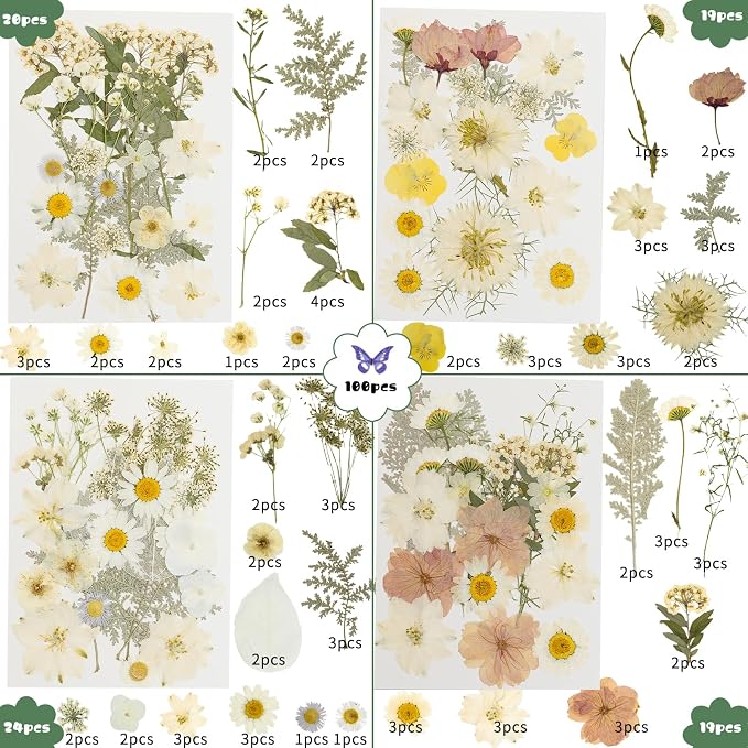 186 Pcs Dried Pressed Flowers for Resin Crafts, Real Natural Pressed Flowers - Image 2