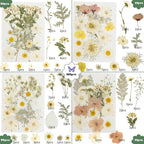 186 Pcs Dried Pressed Flowers for Resin Crafts, Real Natural Pressed Flowers - Image 2