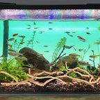 Hamiledyi Natural Driftwood for Aquarium Decor - Image 3