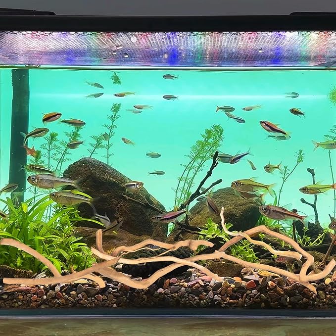 Hamiledyi Natural Driftwood for Aquarium Decor - Image 3