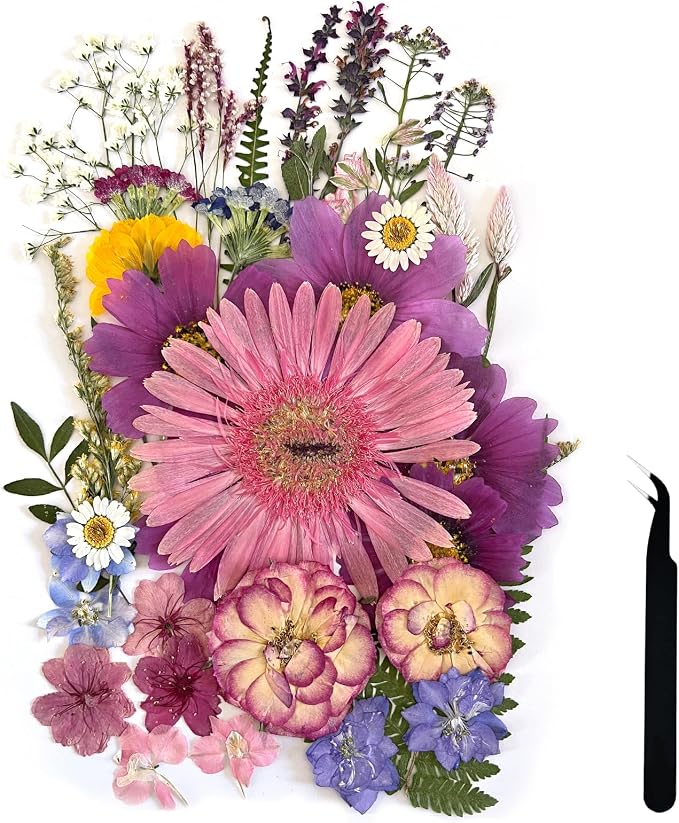 A4 Large Dried Pressed Flowers for Resin Purple Pressed Flowers Real Dry by ZQmino