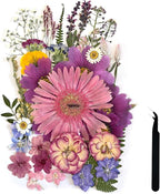 A4 Large Dried Pressed Flowers for Resin Purple Pressed Flowers Real Dry by ZQmino
