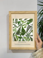 55 Pcs Green Leaves Ferns Dried Pressed Flowers - Image 3