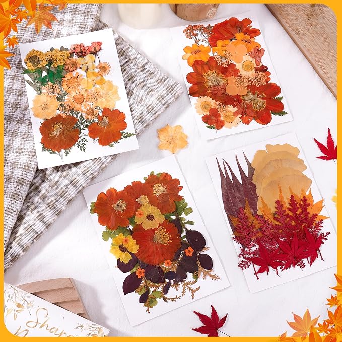 100 Pcs Fall Dried Pressed Flowers, Real Orange Dried Wildflowers Leave - Image 4