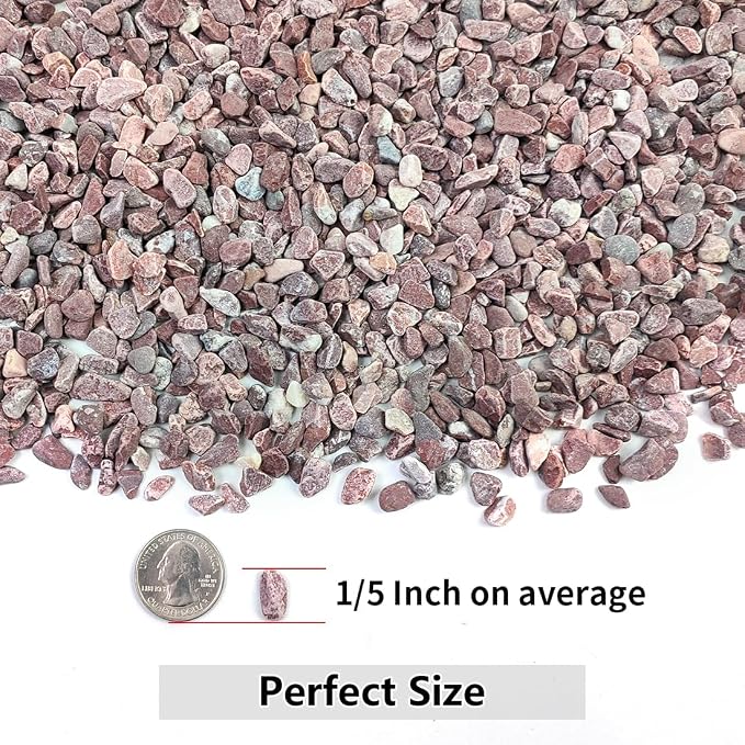 YISZM 2LB Succulent and Cactus Gravel Pebbles, 1/5 Inch Natural Decorative - Image 2