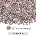 YISZM 5LB Succulent and Cactus Gravel Pebbles, 1/5 Inch Natural Decorative - Image 2