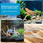 10 Pcs Natural Small Spiderwood - Image 4