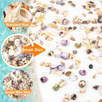 Tiny Sea Shells & 6 Starfish Decor Mixed Ocean Beach Spiral Seashells - Image 4