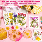 100 Pcs Dried Pressed Flowers Leaves - Image 2