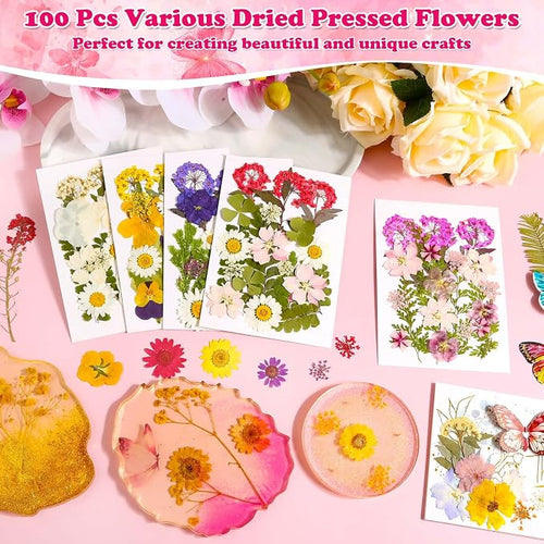 100 Pcs Dried Pressed Flowers Leaves - Image 2