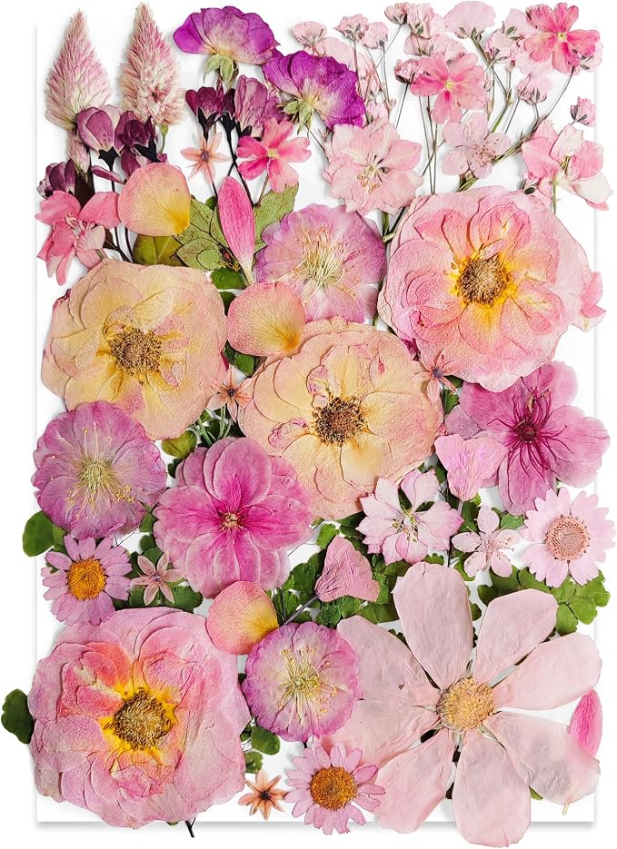 Pink Dried Pressed Flower for Resin, Real Nature Pressing Floral Leaves for DIY by Unknown