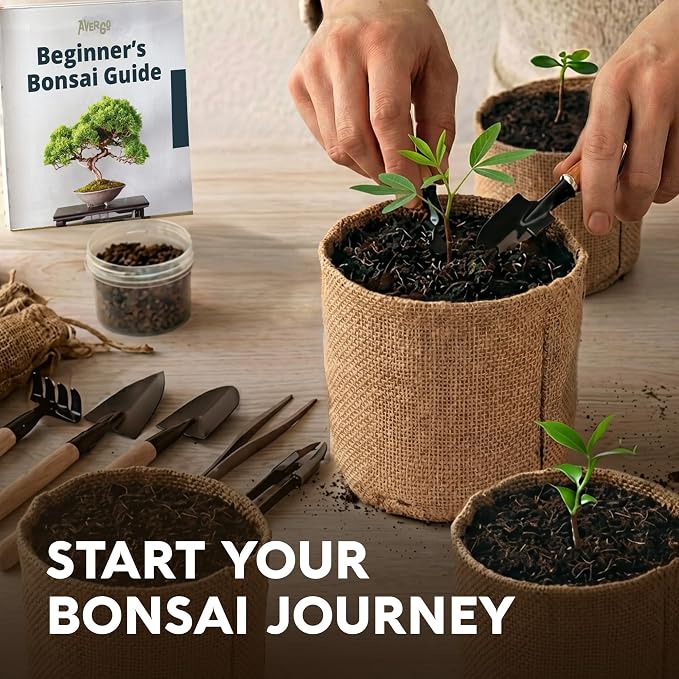 Bonsai Tree Kit Deluxe + Growing Light - Image 12