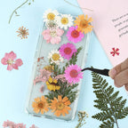 Nuanchu Dried Pressed Flowers for Craft Resin Real Flat Dried Flowers Leaves - Image 5