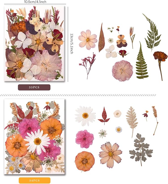 100 PCS Cream Color Pressed Dried Flowers & Leaves | Real Natural Dried Flowers - Image 5