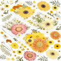 188 Pcs Dried Pressed Flowers for Resin Crafts, Real Natural Pressed Flowers by Unknown