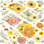 188 Pcs Dried Pressed Flowers for Resin Crafts, Real Natural Pressed Flowers by Unknown