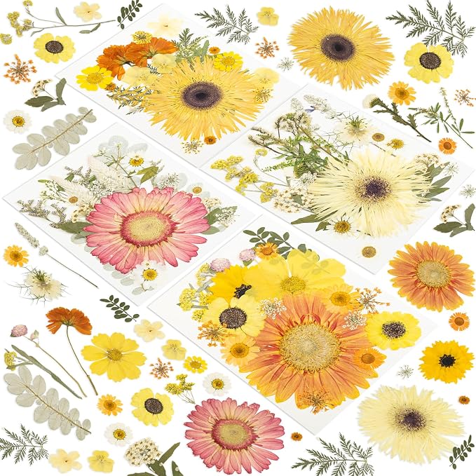 188 Pcs Dried Pressed Flowers for Resin Crafts, Real Natural Pressed Flowers by Unknown