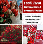 132Pcs Red Pressed Dried Flowers and Butterfly - Image 2