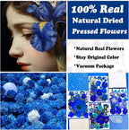 132Pcs Blue Pressed Dried Flowers and Butterfly - Image 2