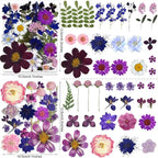150PCS Purple Dried Pressed Flowers - Image 3