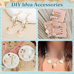 Zefy 23 Types Small Sea Shells for Crafts, Mini Shells for Vase Filler Beach - Image 3