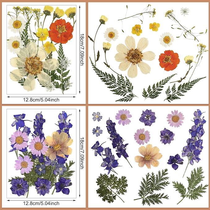 Nuanchu Dried Flower for Crafts Resin Pressed Flowers Bulk Real Dried - Image 3