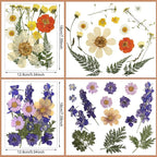 Nuanchu Dried Flower for Crafts Resin Pressed Flowers Bulk Real Dried - Image 3