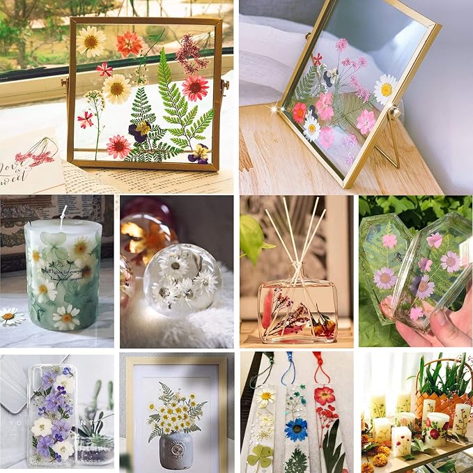 BIHRTC 100PCS Dried Flowers for Resin Real Dry Flower Natural Pressed Died - Image 5