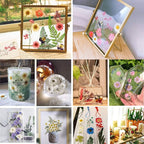 BIHRTC 100PCS Dried Pressed Leaf Flowers Natural Pressed Dry Leaves Sunflowers - Image 5