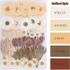 100 PCS Real Dried Pressed Flowers Leaves Natural Plant Herbarium - Image 2