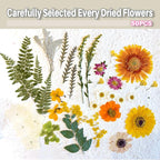 A4 Large Dried Pressed Flowers for Resin Real Dry Natural Flowers Leaves for - Image 3