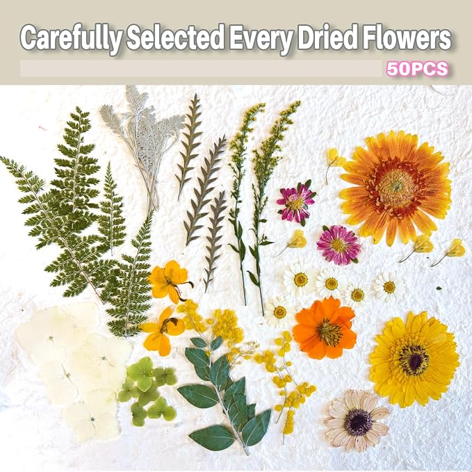 A4 Large Dried Pressed Flowers for Resin Real Dry Natural Flowers Leaves for - Image 3