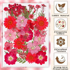 37Pcs Red Dried Pressed Flowers Natural Dried Flowers - Image 4