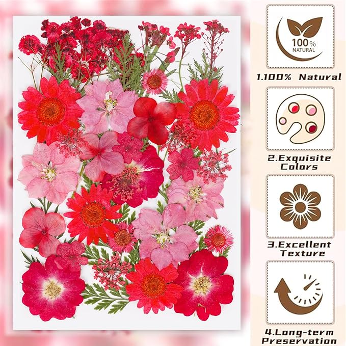 37Pcs Red Dried Pressed Flowers Natural Dried Flowers - Image 4