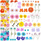 190Pcs Dried Pressed Flowers for Crafts, Xinxinran Dry Flower Kit for Resin - Image 3