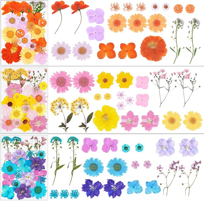 190Pcs Dried Pressed Flowers for Crafts, Xinxinran Dry Flower Kit for Resin - Image 3