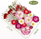48 Pcs Mix Natural Dried Pressed Flowers - Image 7