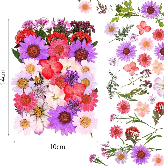 110 Pcs Dried Pressed Flowers for Resin, Real Dry Daisy Flowers and Leaves Bulk - Image 2