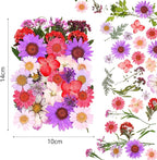 110 Pcs Dried Pressed Flowers for Resin, Real Dry Daisy Flowers and Leaves Bulk - Image 2