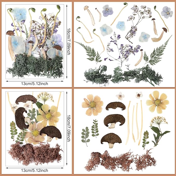 Nuanchu Dried Pressed Flowers for Resin Molds Dried Mushrooms Crafts Fake - Image 4