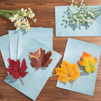 10 Pcs Sun Print Paper Kit Cyanotype Paper, A5 Cyanotype Paper - Image 7