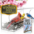 Window Bird Feeder by Nature’s Hangout by NaturesHangout