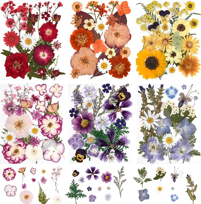 9 Packs of 200 Pressed Dried Flowers and Leaves - Image 2