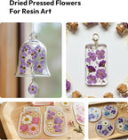 Dried Flowers, Resiners 58Pcs Pressed Flowers - Image 7