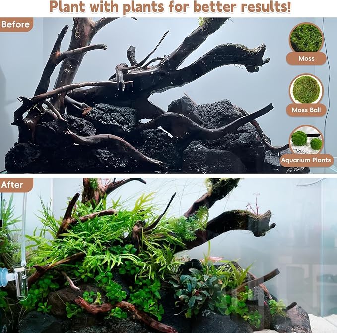 PINVNBY Natural Driftwood for Aquarium Decor Fish Tank Decorations Reptile - Image 5