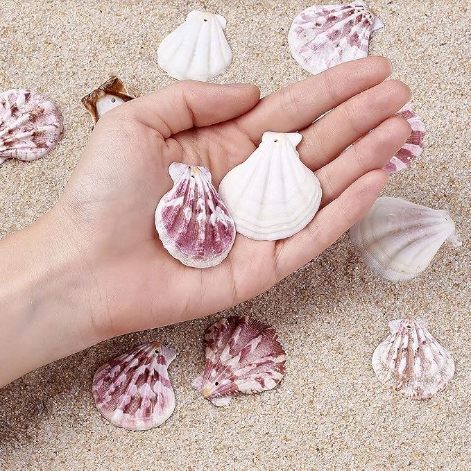 KISSITTY 500 Grams Dyed Scallop Beach Sea Shell Beads - Image 5
